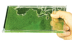 Observation Tank 