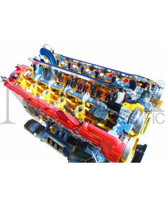 Ferrari V12 Cut-Away Engine - Electrical Operation