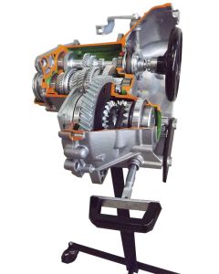 Transaxle Cut-Away, 5 Speed + Reverse, with Differential