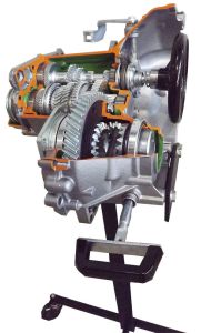 Transaxle Cut-Away, 5 Speed + Reverse, with Differential