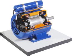 Three-Phase Electric Motor