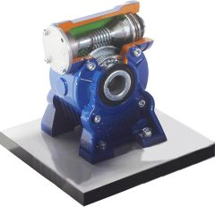 Worm Gear Reducer